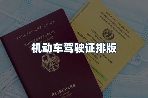 机动车驾驶证排版